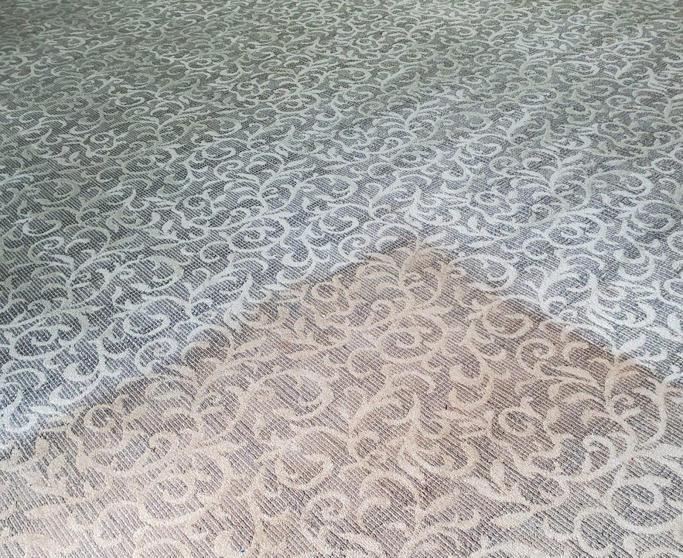 Patterned carpet, cleaned